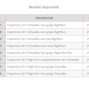 Copertoni per carrozzina disabili B3a X