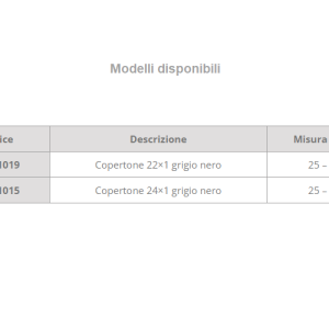 Copertone Schwalbe scolpito HS 228 A