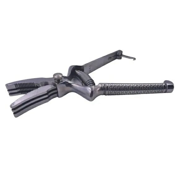 Masticatore per alimenti Allmobility a