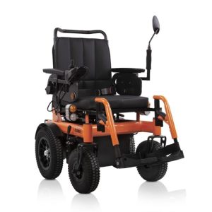 Carrozzina Elettrica Calabria 3