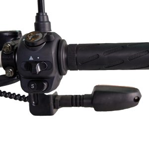 black 12